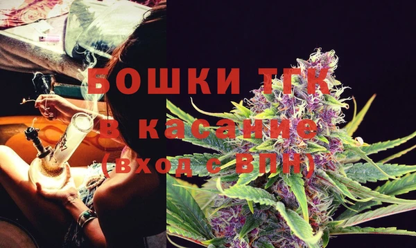 индика Вяземский