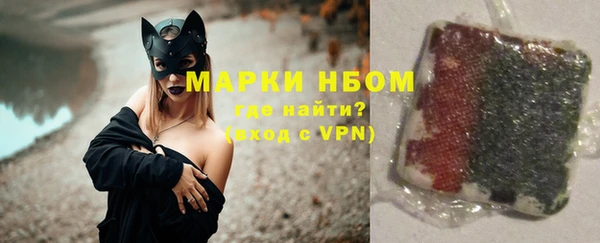индика Вяземский