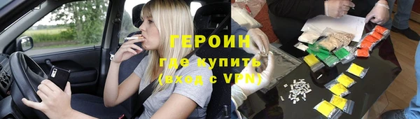 индика Вяземский