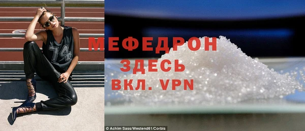 индика Вяземский