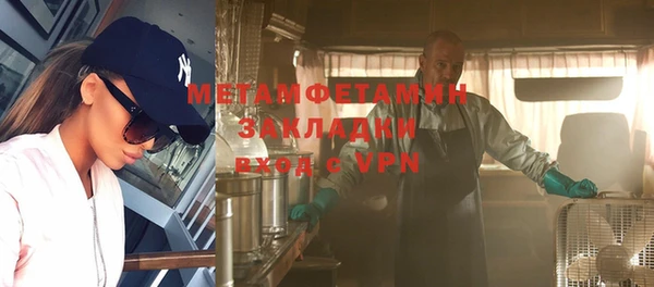 индика Вяземский