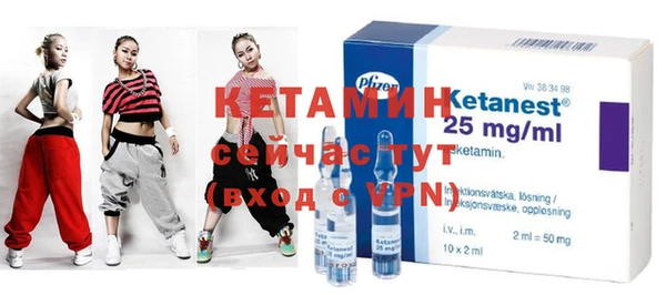 индика Вяземский