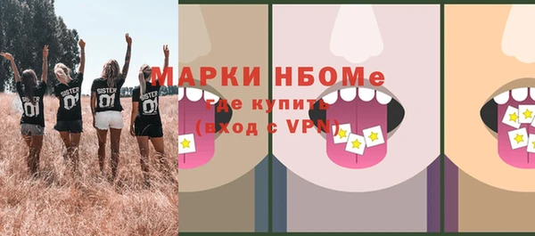 индика Вяземский