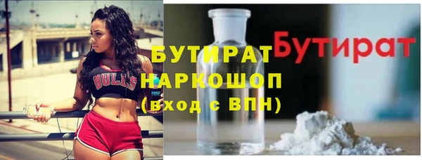 индика Вяземский
