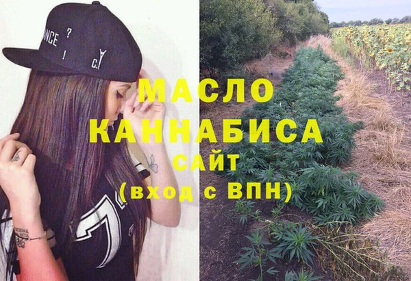 индика Вяземский