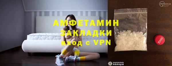индика Вяземский