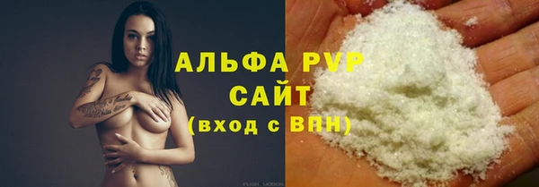индика Вяземский