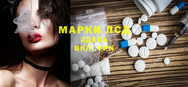 индика Вяземский