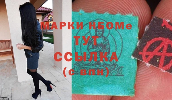 индика Вяземский