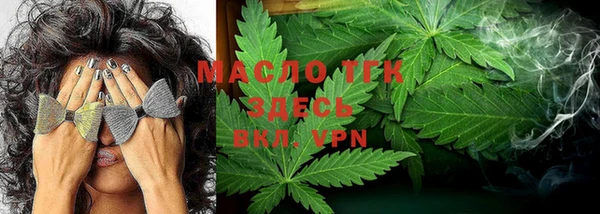 индика Вяземский