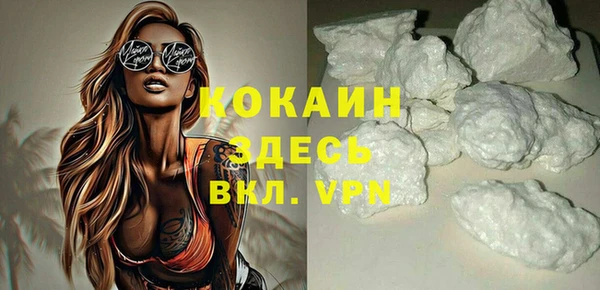 индика Вяземский