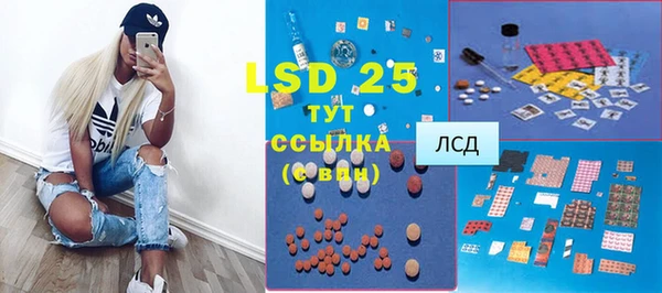 индика Вяземский