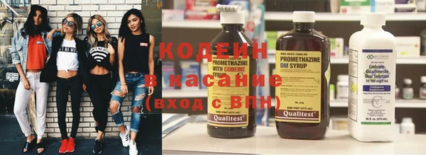 индика Вяземский