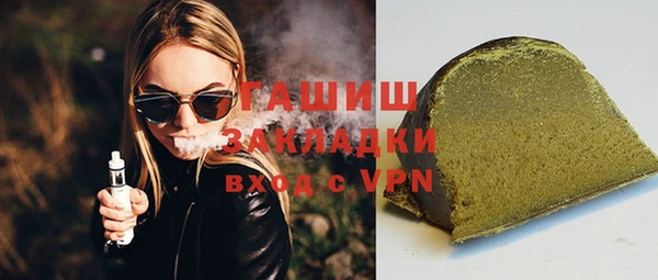 индика Вяземский