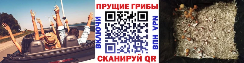 закладка  Ялуторовск  Галлюциногенные грибы Magic Shrooms 